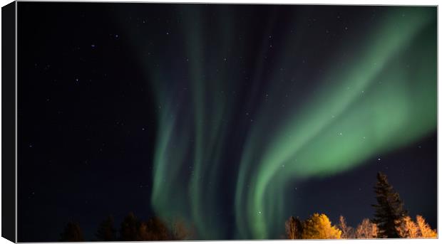 Northern Lights Finland  Canvas Print by Richie Miles