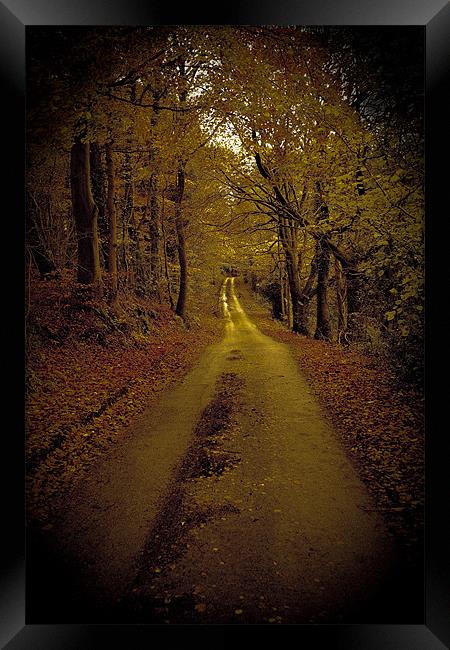 Calm road Framed Print by S Fierros