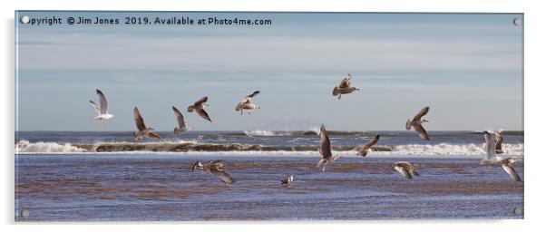 Seventeen super seaside seagulls Acrylic by Jim Jones