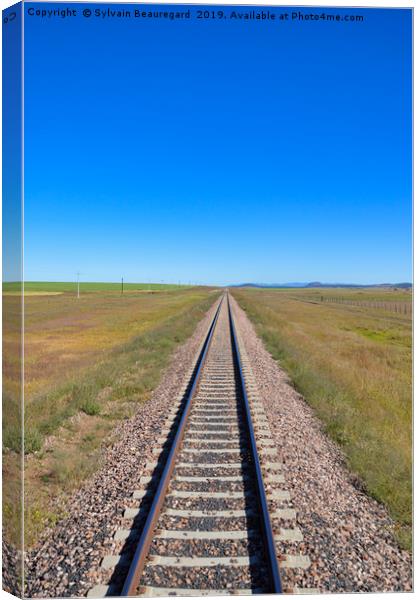 Railroad in the prairie, vertical Canvas Print by Sylvain Beauregard