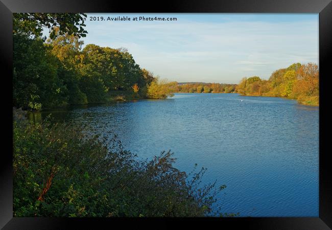 AUTUMN WATER, Framed Print by andrew saxton