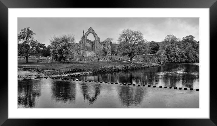 Bolton Abbey monochrome Framed Mounted Print by Diana Mower