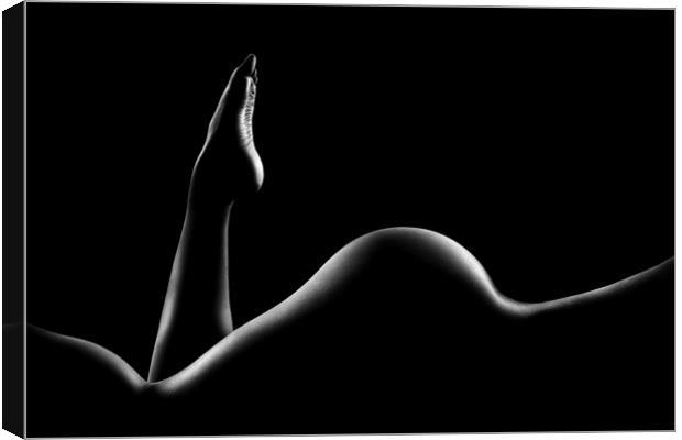 Nude woman bodyscape 14 Canvas Print by Johan Swanepoel
