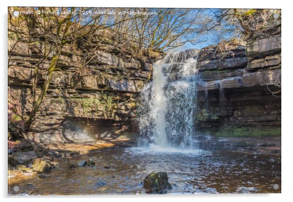 Summerhill Force Waterfall, Bowlees, Teesdale Acrylic by Richard Laidler