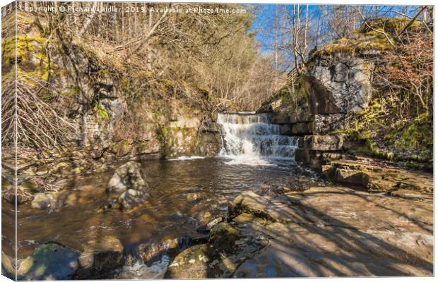 Bow Lee Beck Waterfall, Upper Teesdale Canvas Print by Richard Laidler