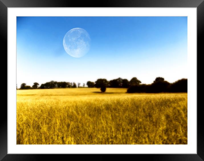 moon field Framed Mounted Print by paul ratcliffe