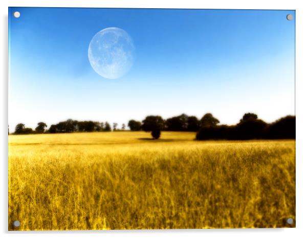 moon field Acrylic by paul ratcliffe