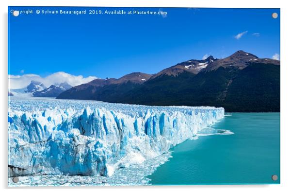 Perito Moreno and Lake Argentino Acrylic by Sylvain Beauregard