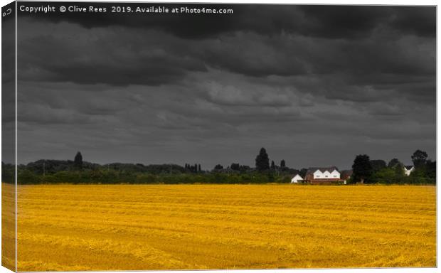 Stormy Hay field Canvas Print by Clive Rees