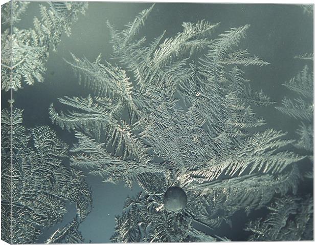 Frost on an old window Canvas Print by Donna-Marie Parsons