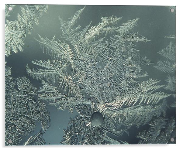 Frost on an old window Acrylic by Donna-Marie Parsons