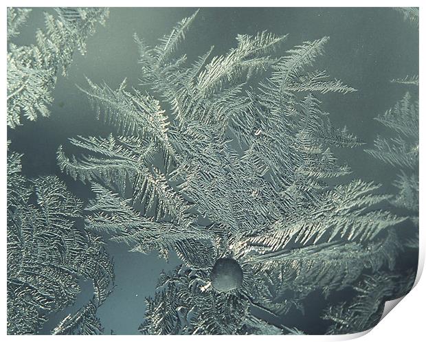 Frost on an old window Print by Donna-Marie Parsons