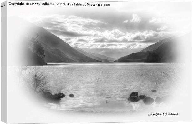 Loch Shiel, Scotland Canvas Print by Linsey Williams