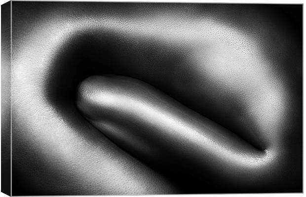 Female nude silver oil close-up 3 Canvas Print by Johan Swanepoel