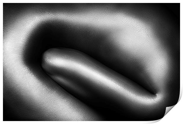 Female nude silver oil close-up 3 Print by Johan Swanepoel