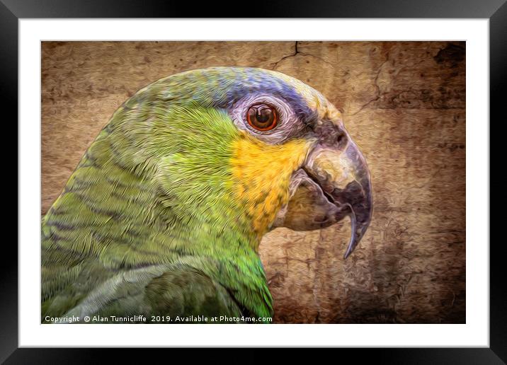 Orange Winged Amazon Framed Mounted Print by Alan Tunnicliffe