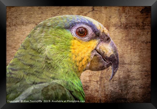 Orange Winged Amazon Framed Print by Alan Tunnicliffe