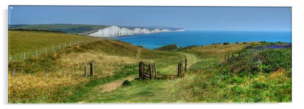 The Seven Sisters Sussex Acrylic by Diana Mower