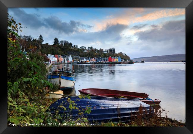 Boats at sunrise (Tobermory) Framed Print by Andrew Ray