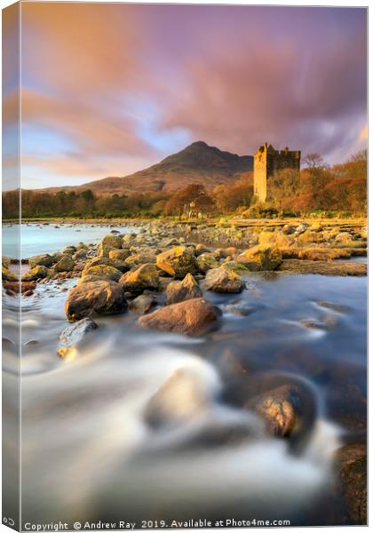 Evening light on Moy Castle (Loch Buie) Canvas Print by Andrew Ray
