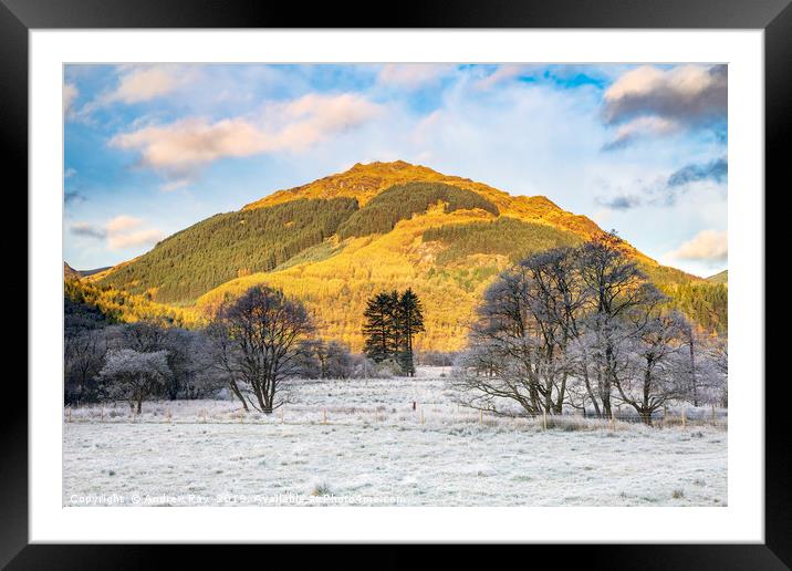Frosty morning in Glen Goil Framed Mounted Print by Andrew Ray
