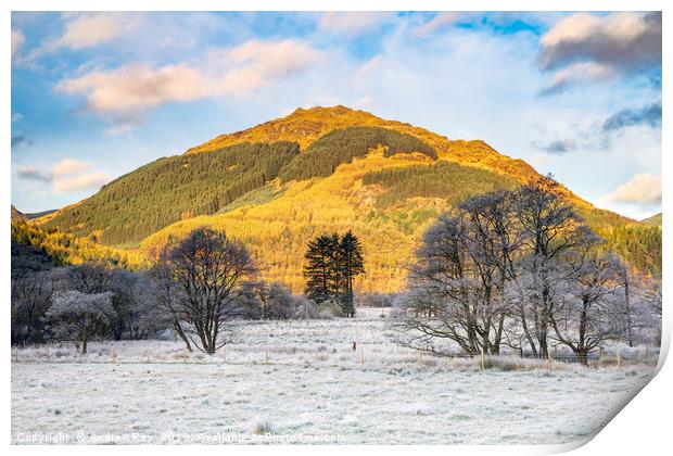 Frosty morning in Glen Goil Print by Andrew Ray