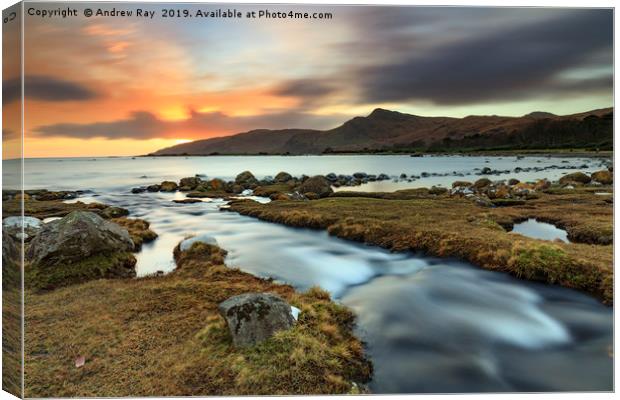 Stream at sunset (Loch Buie) Canvas Print by Andrew Ray