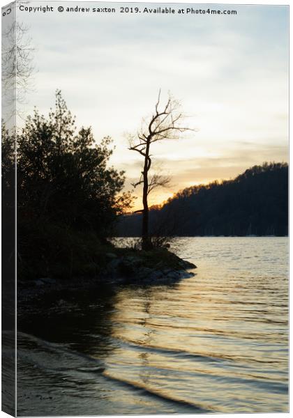 TREE SUNSET. Canvas Print by andrew saxton