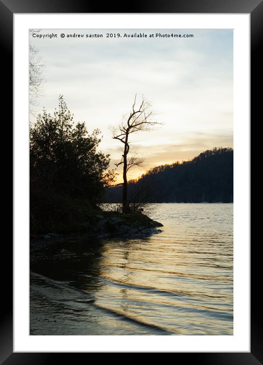 TREE SUNSET. Framed Mounted Print by andrew saxton