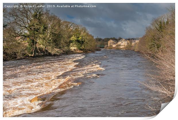 A swollen River Tees at Barnard Castle, Teesdale Print by Richard Laidler