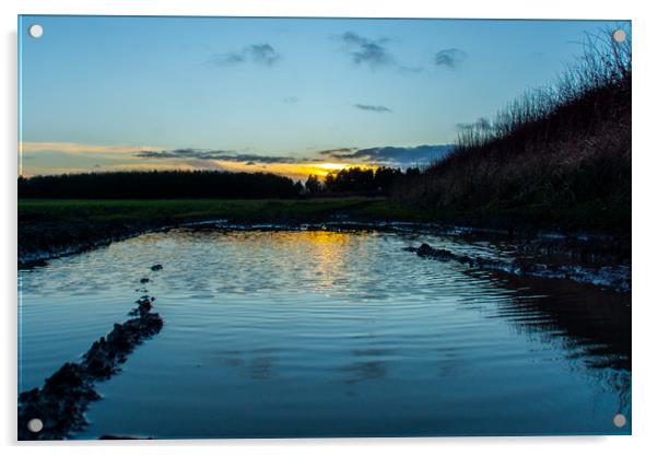 The reflective countryside sunset Acrylic by David Wilson