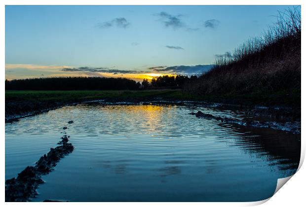 The reflective countryside sunset Print by David Wilson