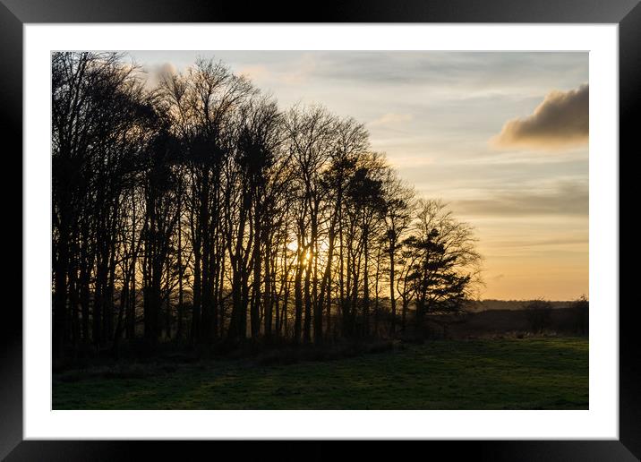 The Sunset Silhouette Framed Mounted Print by David Wilson