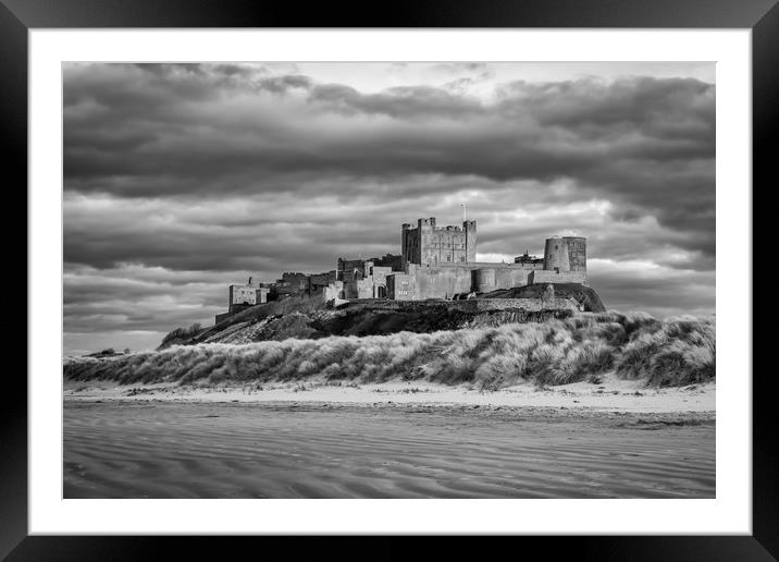 Black and White Beauty Framed Mounted Print by Naylor's Photography