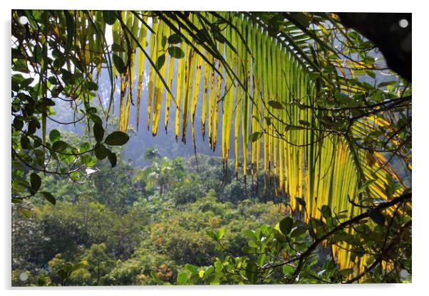 View through the fronds Acrylic by Jane Emery