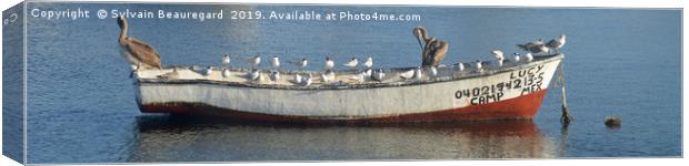 Bird taking over fisherman's boat, panorama 4:1 Canvas Print by Sylvain Beauregard