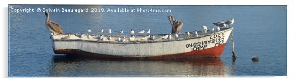 Bird taking over fisherman's boat, panorama 4:1 Acrylic by Sylvain Beauregard