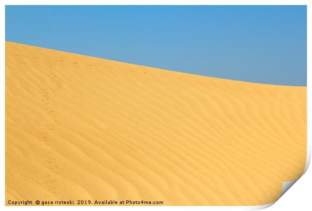 sand dune with small animals tracks Print by goce risteski
