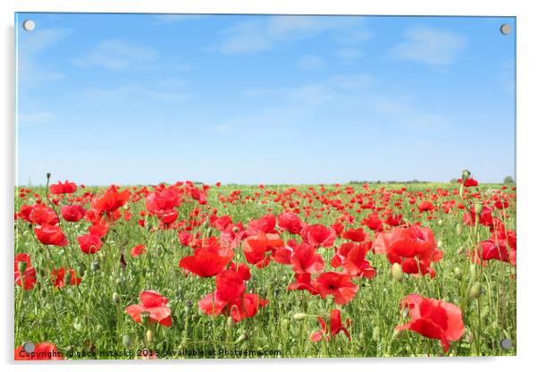 meadow with poppy flowers Acrylic by goce risteski