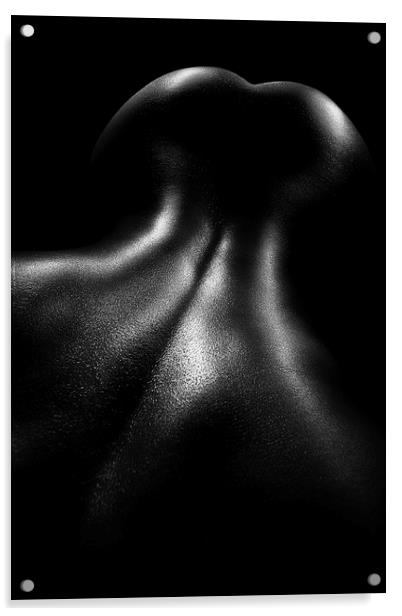 Female nude oil 4 Acrylic by Johan Swanepoel