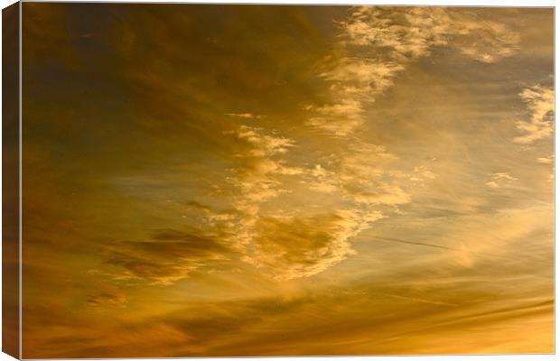 Gold In The Sky Canvas Print by Irina Walker