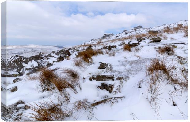 Stowes Hill Winter Canvas Print by CHRIS BARNARD