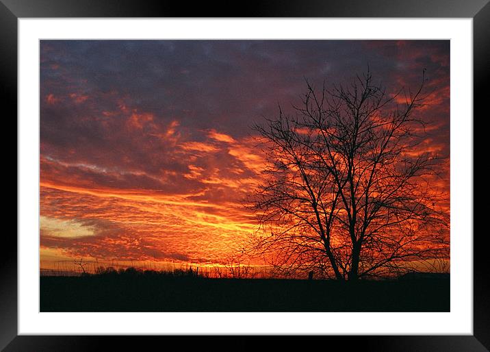 Fiery sunset Framed Mounted Print by Donna-Marie Parsons