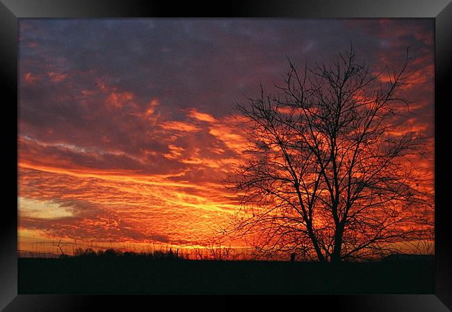 Fiery sunset Framed Print by Donna-Marie Parsons