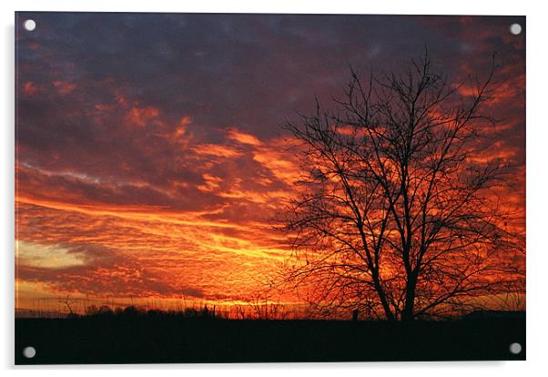 Fiery sunset Acrylic by Donna-Marie Parsons