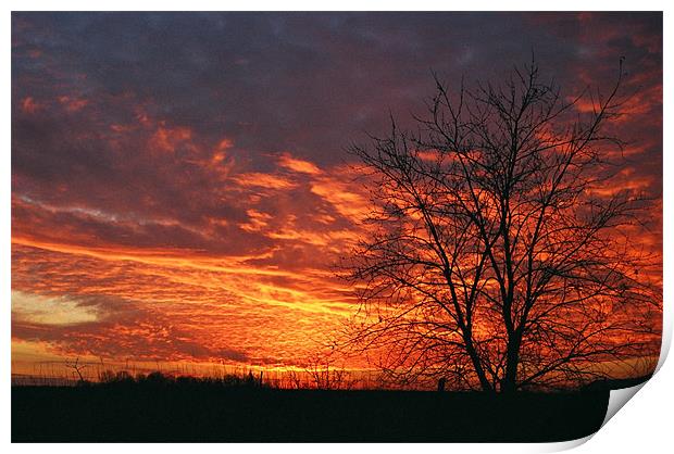 Fiery sunset Print by Donna-Marie Parsons
