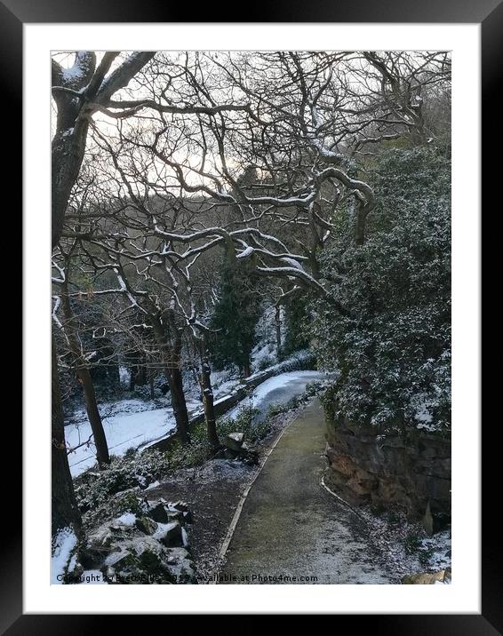 Winter wonderland, Beaumont Park Framed Mounted Print by Brett Ellis
