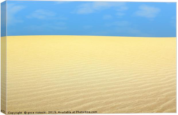desert landscape Canvas Print by goce risteski