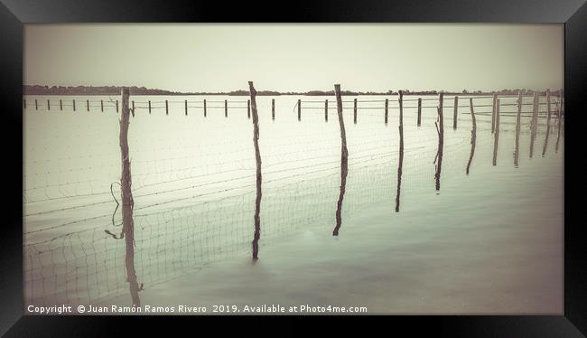 Wooden post and wire fence on a lake in black and  Framed Print by Juan Ramón Ramos Rivero