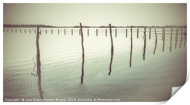 Wooden post and wire fence on a lake in black and  Print by Juan Ramón Ramos Rivero